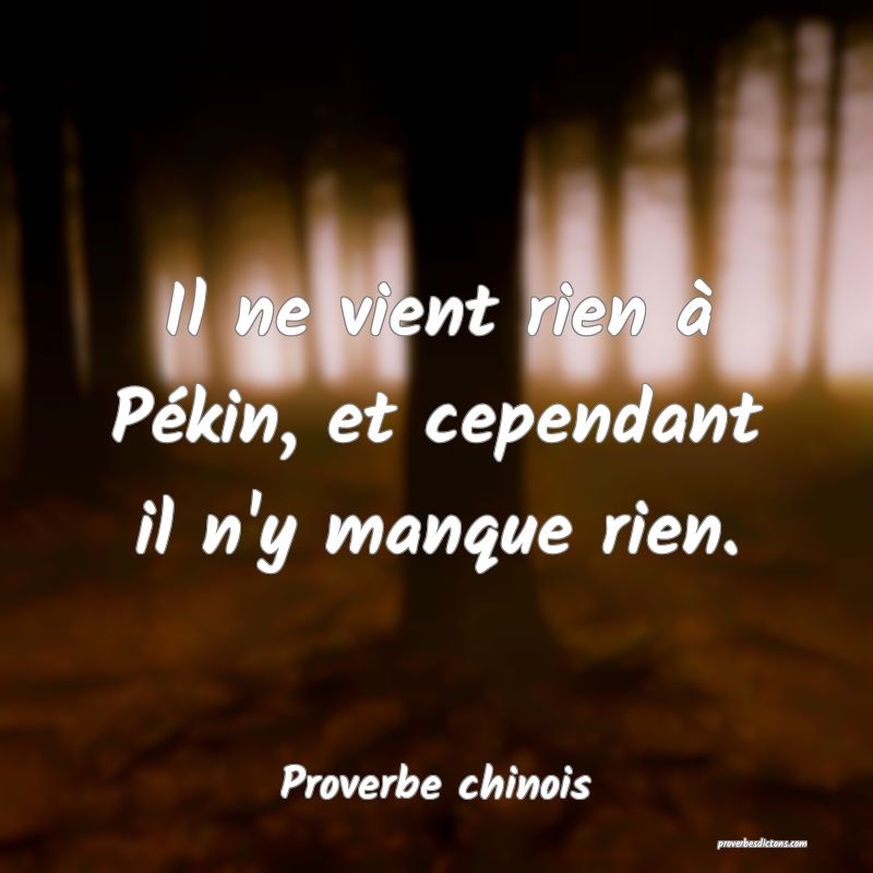 Il ne vient rien à Pékin, et cependant il n'y manque rien.