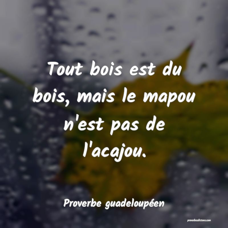 Tout bois est du bois, mais le mapou n'est pas de l'acajou.