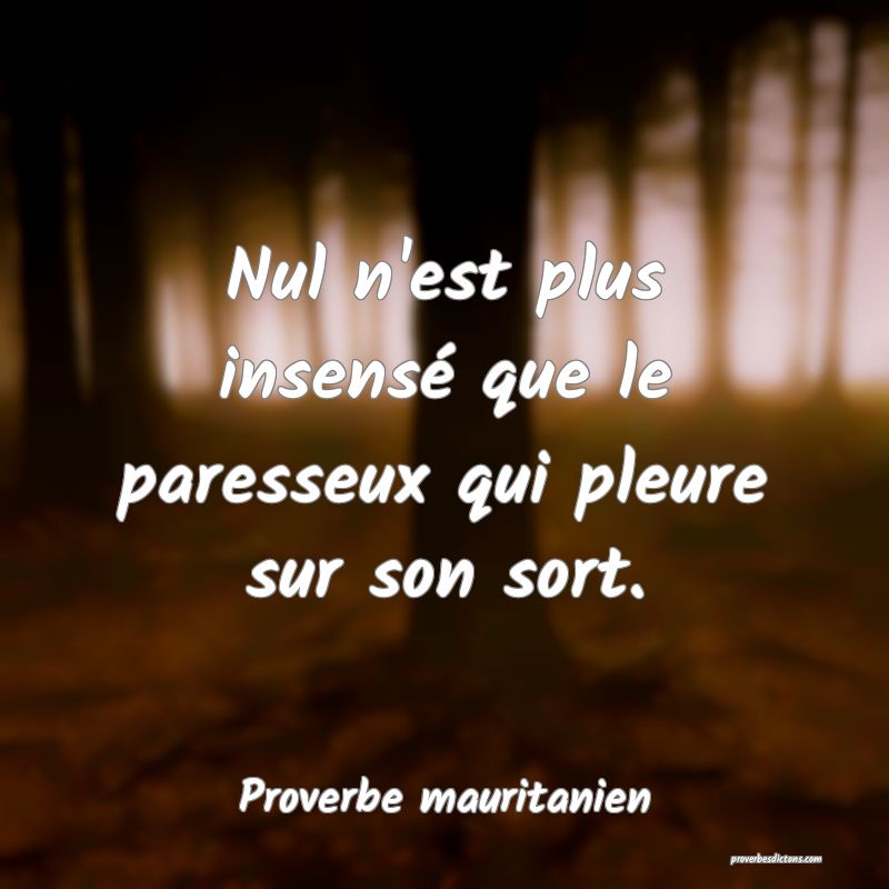 Nul n'est plus insensé que le paresseux qui pleure sur son sort.
