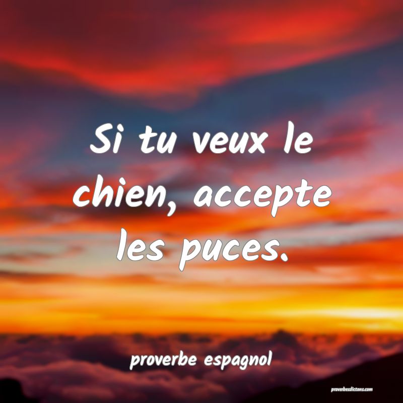  Si tu veux le chien, accepte les puces.