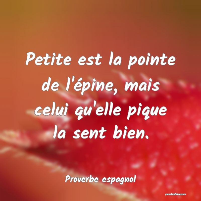 Petite est la pointe de l'épine, mais celui qu'elle pique la sent bien.