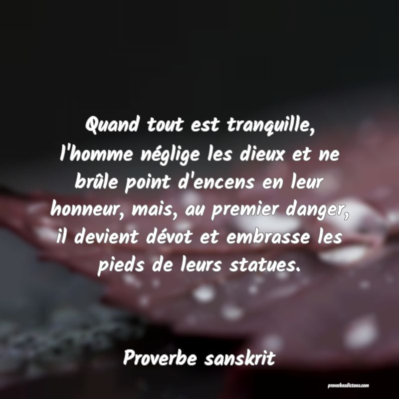 Quand tout est tranquille, l'homme néglige les dieux et ne brûle point d'encens en leur honneur, mais, au premier danger, il devient dévot et embrasse les pieds de leurs statues.