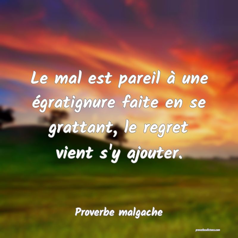 Le mal est pareil à une égratignure faite en se grattant, le regret vient s'y ajouter.