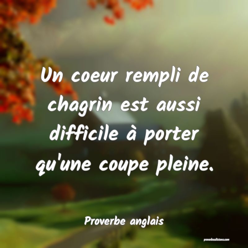 Un coeur rempli de chagrin est aussi difficile à porter qu'une coupe pleine.