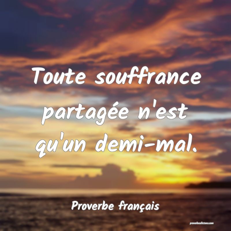 Toute souffrance partagée n'est qu'un demi-mal.