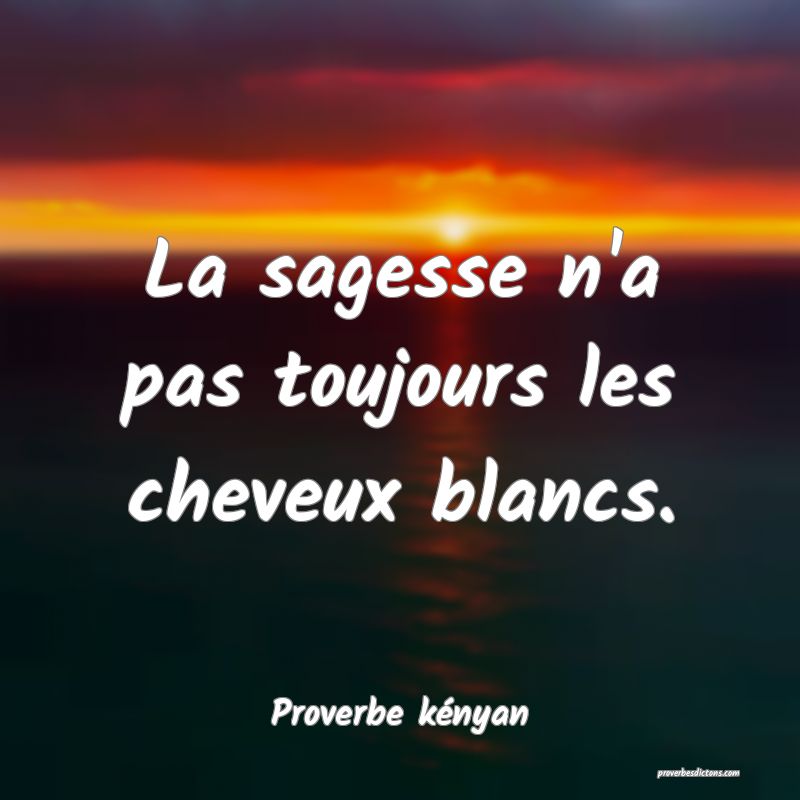 La sagesse n'a pas toujours les cheveux blancs.