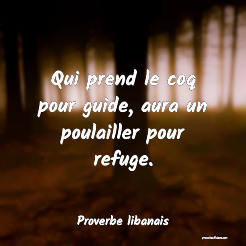 Qui prend le coq pour guide, aura un poulailler pour refuge.