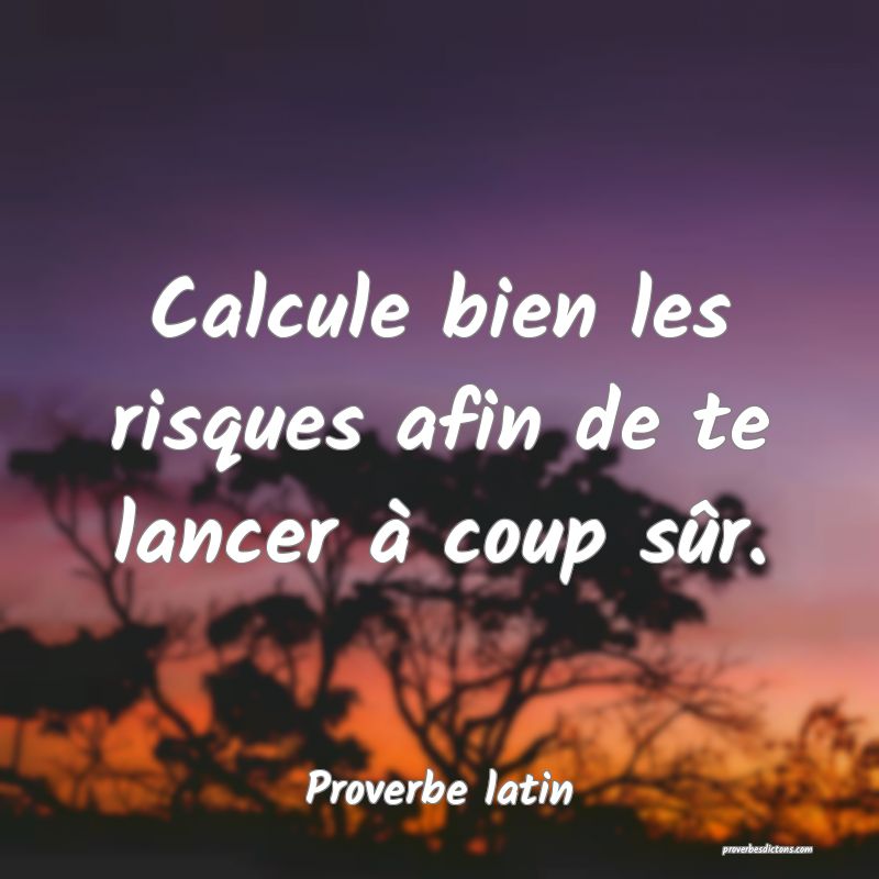 Calcule bien les risques afin de te lancer à coup sûr.