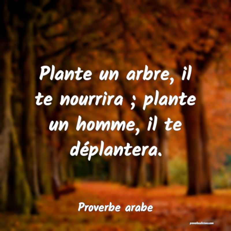 Plante un arbre, il te nourrira ; plante un homme, il te déplantera.