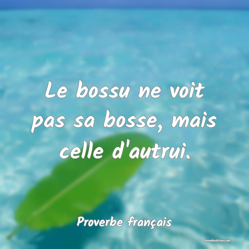 Le bossu ne voit pas sa bosse, mais celle d'autrui.