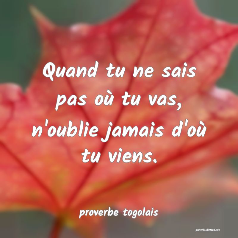  Quand tu ne sais pas où tu vas, n'oublie jamais d'où tu viens.