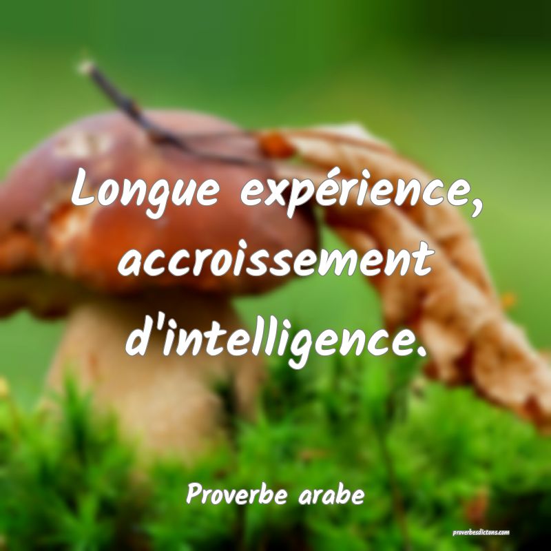 Longue expérience, accroissement d'intelligence.