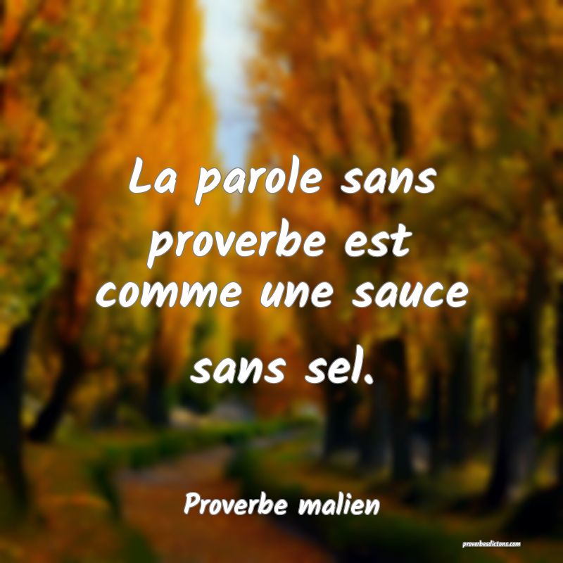 La parole sans proverbe est comme une sauce sans sel.