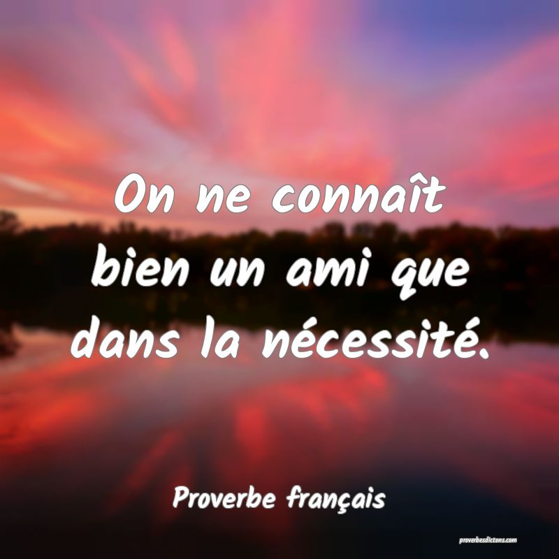 On ne connaît bien un ami que dans la nécessité.