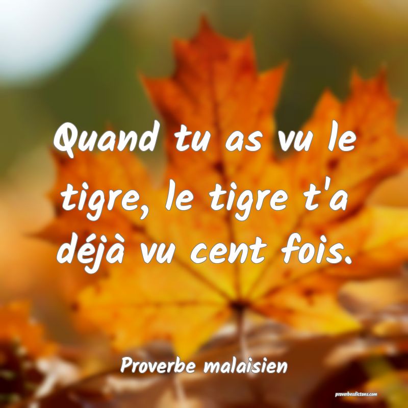 Quand tu as vu le tigre, le tigre t'a déjà vu cent fois.