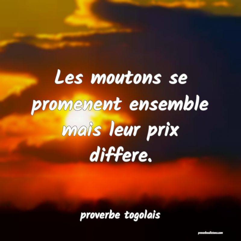  Les moutons se promenent ensemble mais leur prix differe.