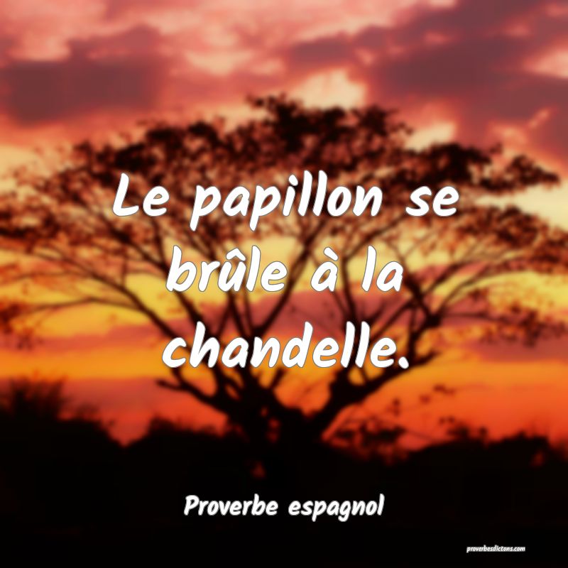 Le papillon se brûle à la chandelle.