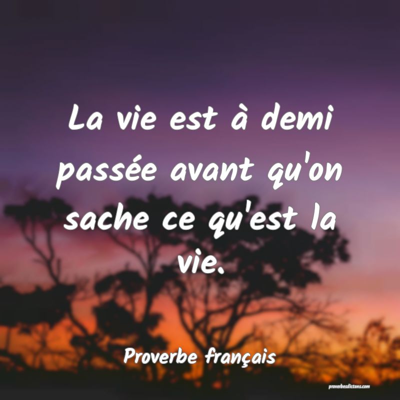 La vie est à demi passée avant qu'on sache ce qu'est la vie.