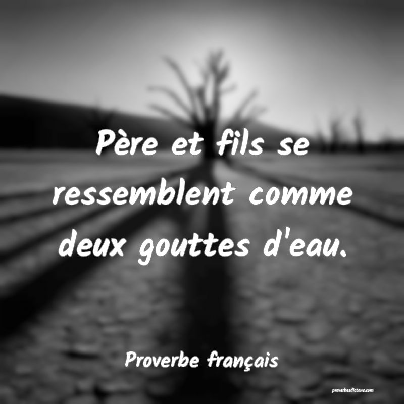 Père et fils se ressemblent comme deux gouttes d'eau.