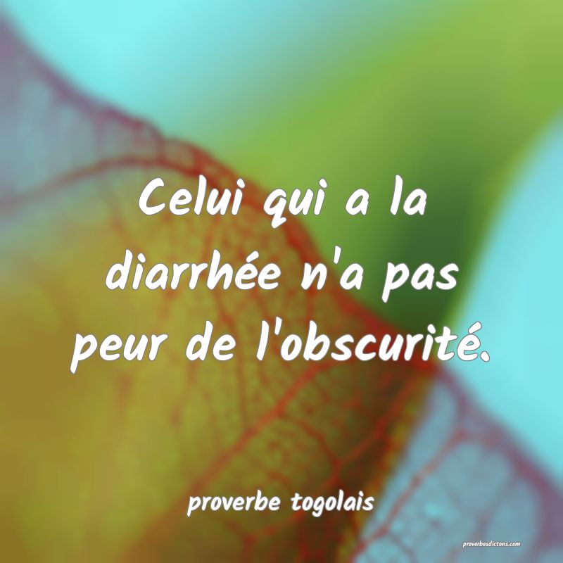  Celui qui a la diarrhée n'a pas peur de l'obscurité.
