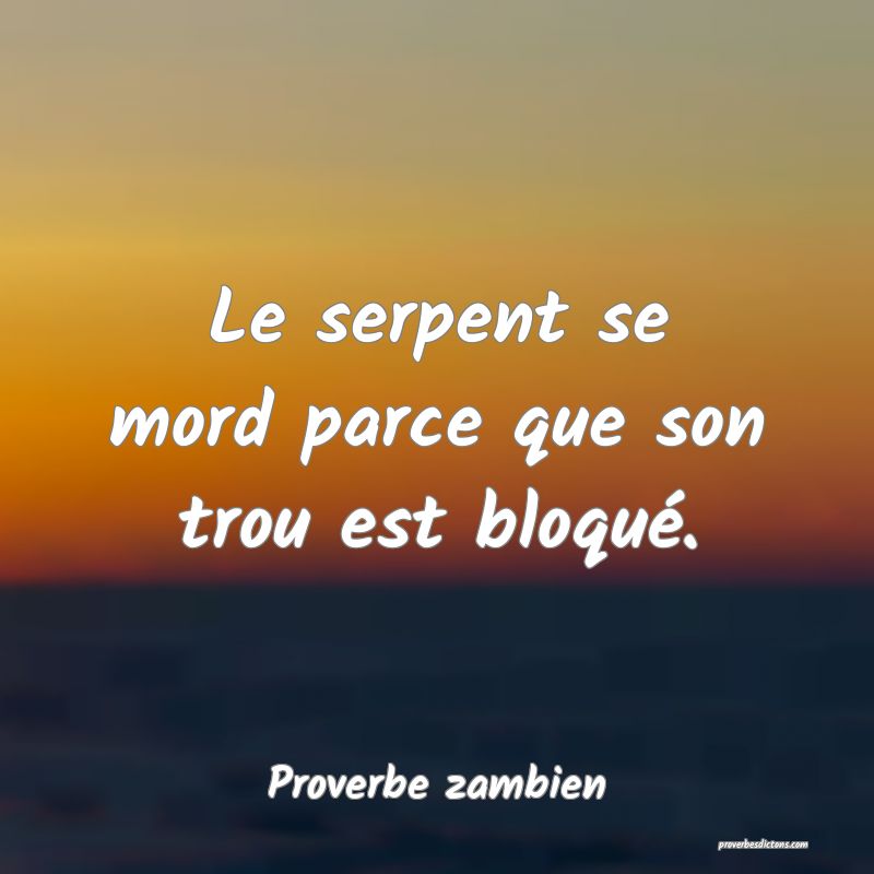 Le serpent se mord parce que son trou est bloqué.
