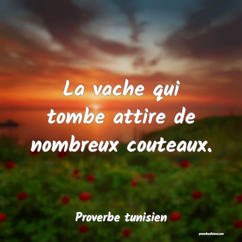 La vache qui tombe attire de nombreux couteaux.