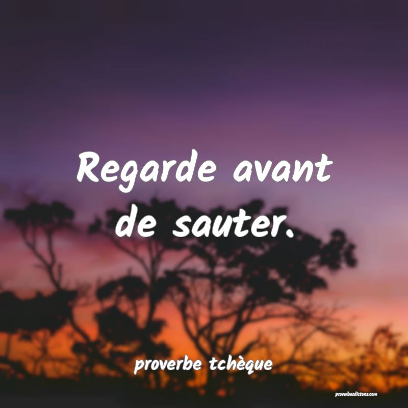  Regarde avant de sauter.