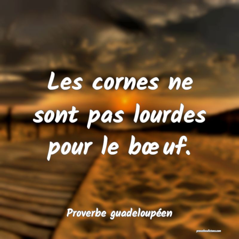 Les cornes ne sont pas lourdes pour le bœuf.