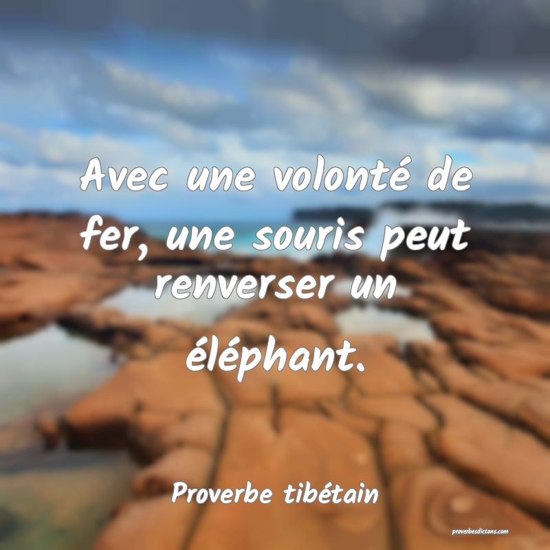 Avec une volonté de fer, une souris peut renverser un éléphant.
