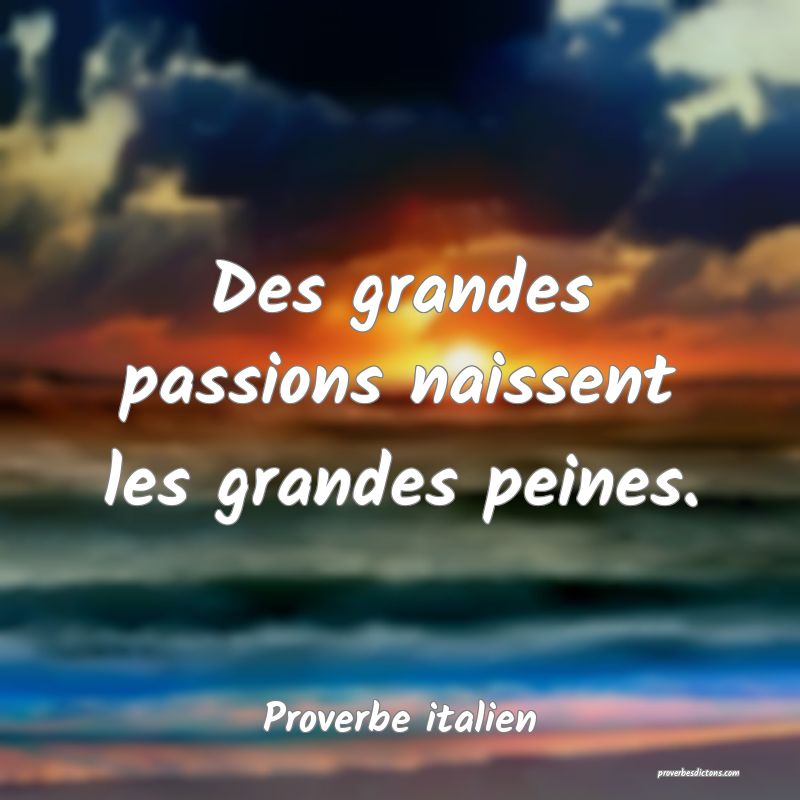 Des grandes passions naissent les grandes peines.
