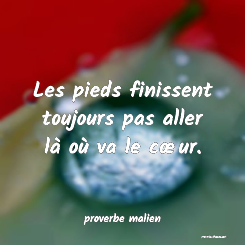 Les pieds finissent toujours pas aller là où va le cœur.