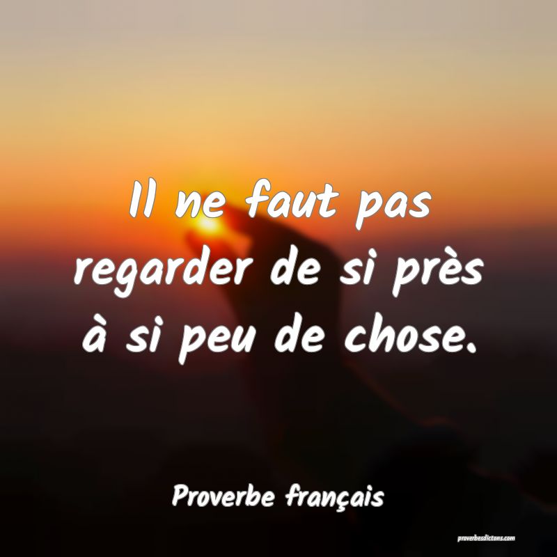 Il ne faut pas regarder de si près à si peu de chose.