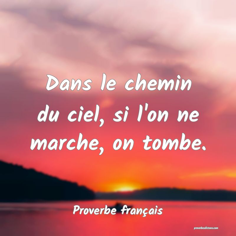 Dans le chemin du ciel, si l'on ne marche, on tombe.