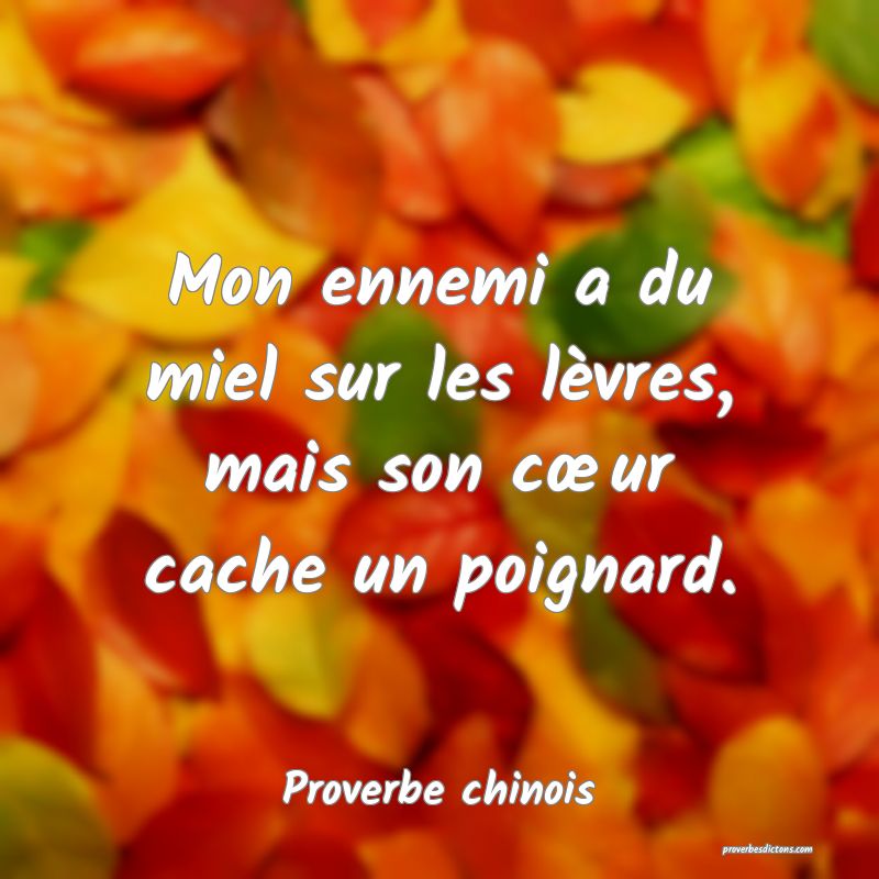 Mon ennemi a du miel sur les lèvres, mais son cœur cache un poignard.