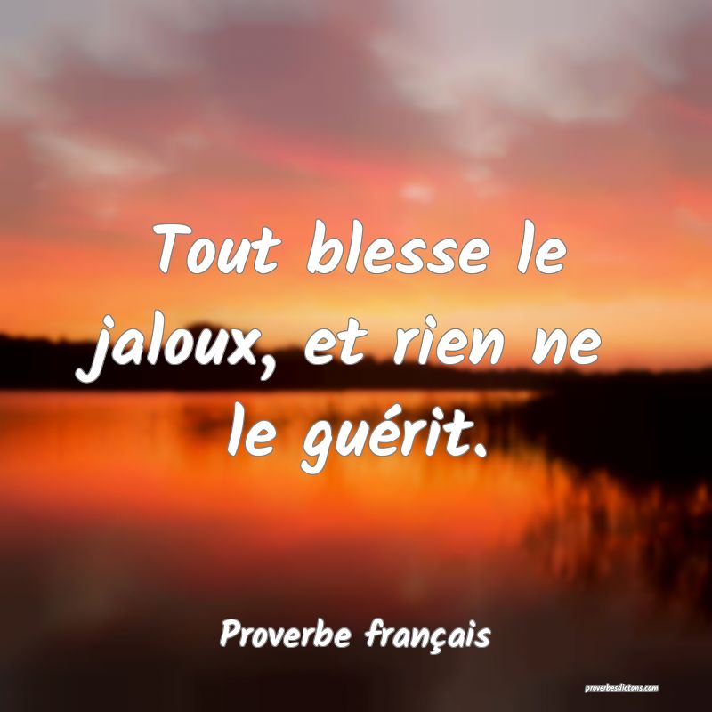 Tout blesse le jaloux, et rien ne le guérit.