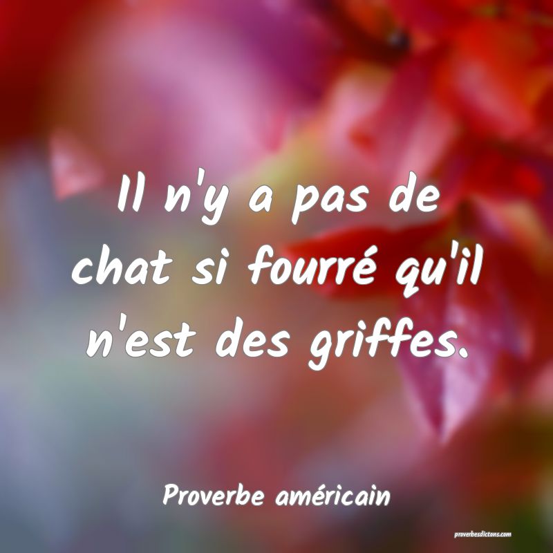 Il n'y a pas de chat si fourré qu'il n'est des griffes.
