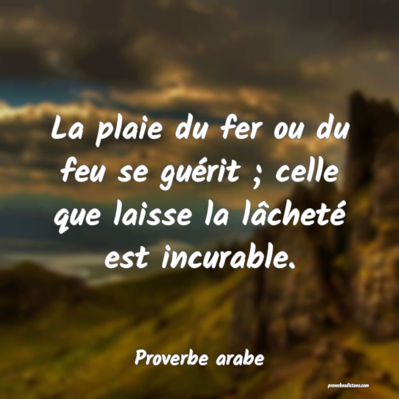 La plaie du fer ou du feu se guérit ; celle que laisse la lâcheté est incurable.