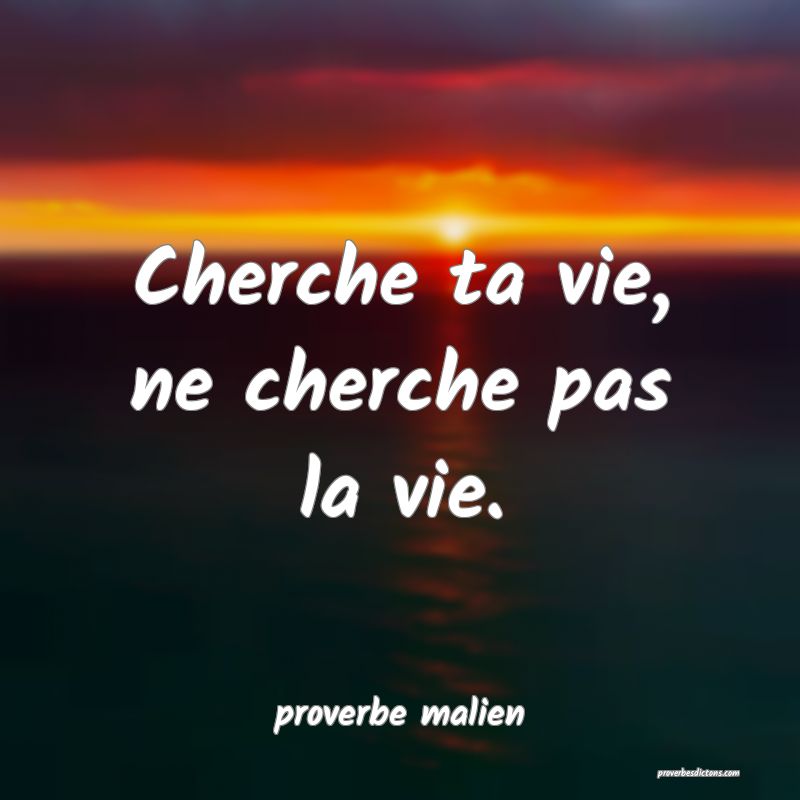  Cherche ta vie, ne cherche pas la vie.