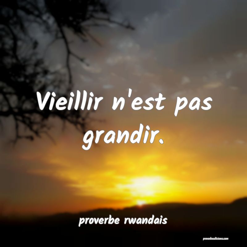  Vieillir n'est pas grandir.
