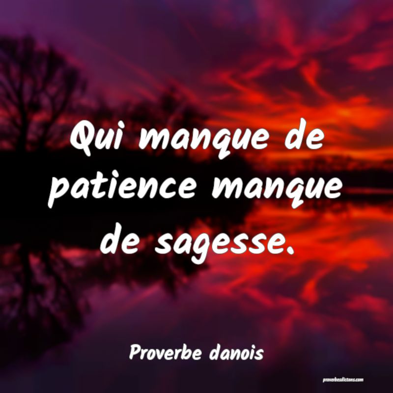 Qui manque de patience manque de sagesse.