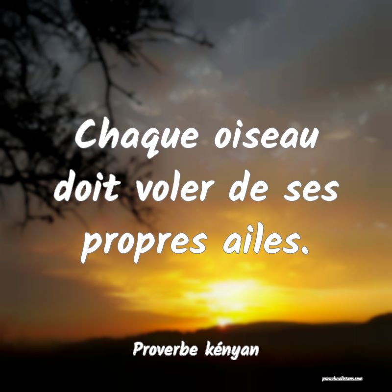 Chaque oiseau doit voler de ses propres ailes.