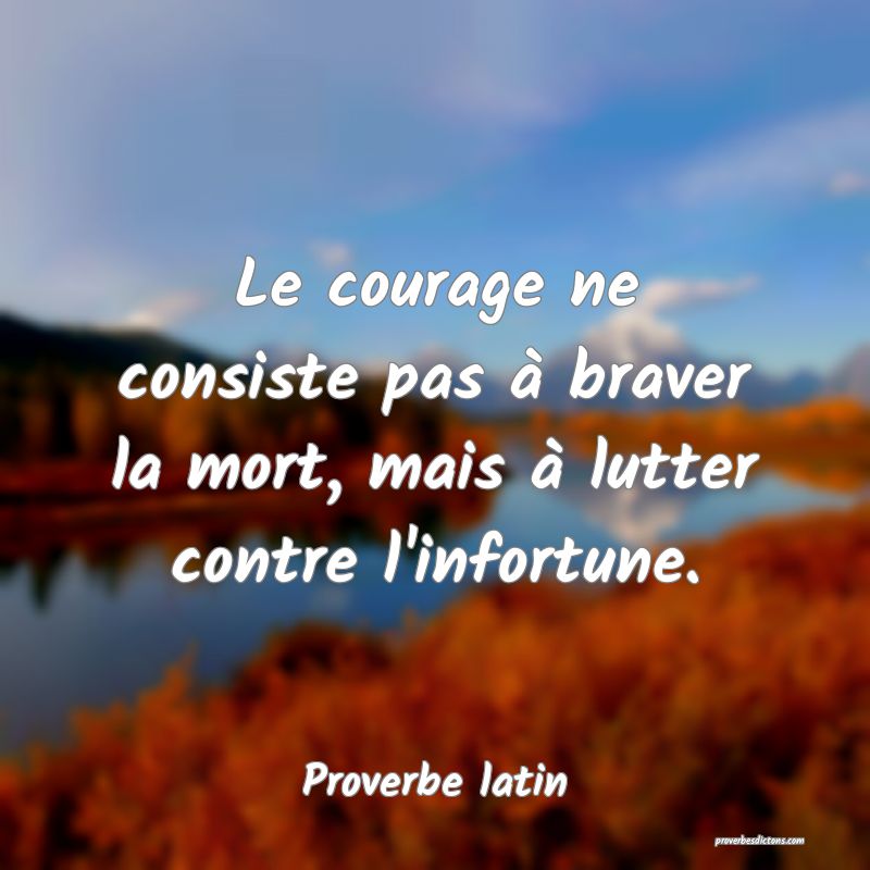Le courage ne consiste pas à braver la mort, mais à lutter contre l'infortune.