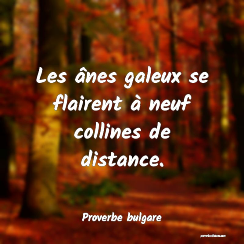 Les ânes galeux se flairent à neuf collines de distance.