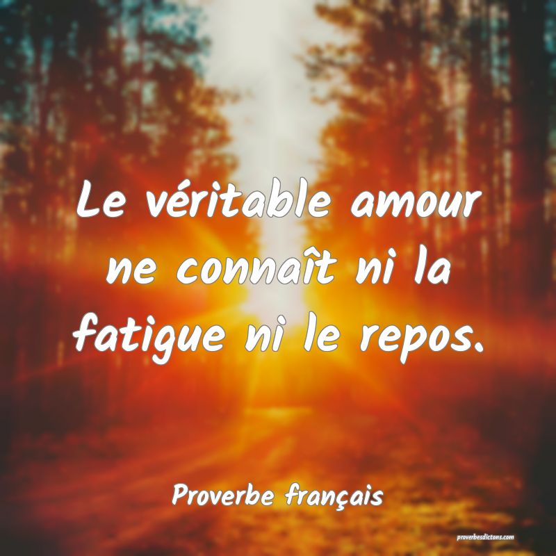 Le véritable amour ne connaît ni la fatigue ni le repos.