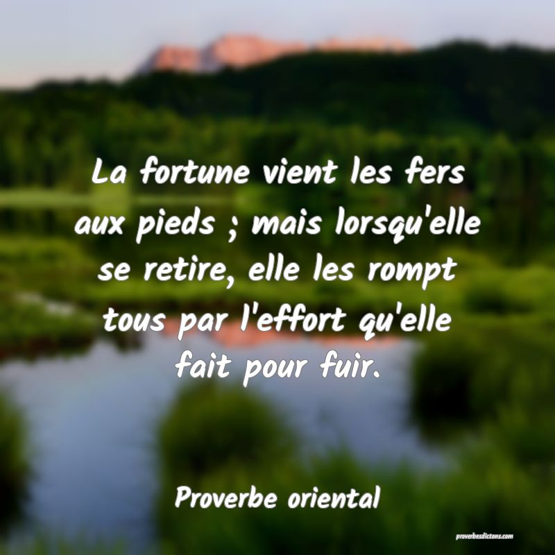 La fortune vient les fers aux pieds ; mais lorsqu'elle se retire, elle les rompt tous par l'effort qu'elle fait pour fuir.