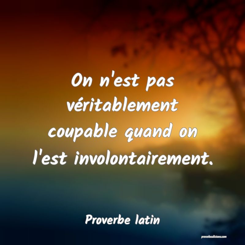 On n'est pas véritablement coupable quand on l'est involontairement.