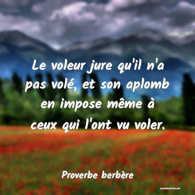 Le voleur jure qu'il n'a pas volé, et son aplomb en impose même à ceux qui l'ont vu voler.