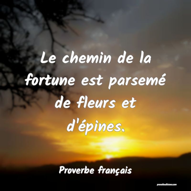 Le chemin de la fortune est parsemé de fleurs et d'épines.