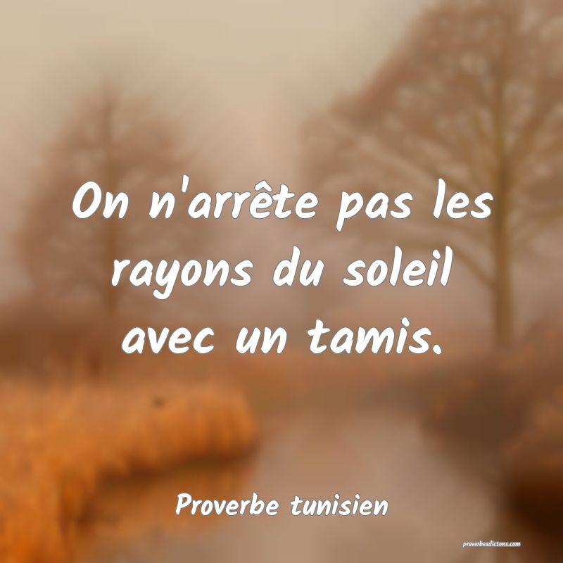 On n'arrête pas les rayons du soleil avec un tamis.