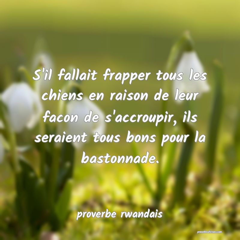  S'il fallait frapper tous les chiens en raison de leur facon de s'accroupir, ils seraient tous bons pour la bastonnade.